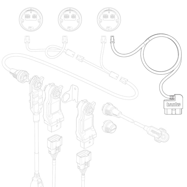 Banks OBD-II Cable CAN Bus for iDash