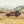 CBI OFFROAD Chevy Colorado ZR2 Baja Series Front Bumper - Colorado & Canyon Enthusiasts
